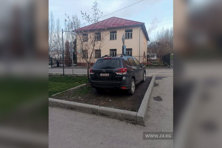 читателя 24.kg