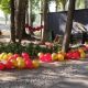 Фото 24.kg. Комсомольское озеро в Бишкеке готовят к официальному открытию