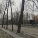Фото Мээрим Акназаровой. Бишкек, парк Панфилова, 1 марта 2026 года