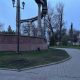 Фото читателя 24.kg. ...нет кленов