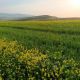Фото Мамасалы Ташматова. Жалпак-Таш, Узгенский район