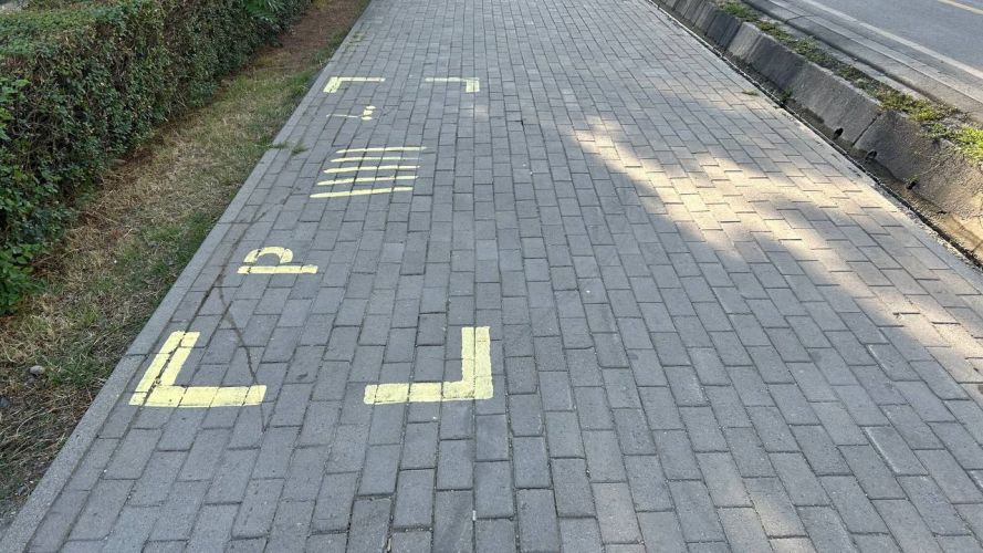 читателя 24.kg