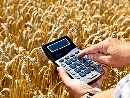 Кабмин получит кредит под 1&nbsp;процент, а&nbsp;фермерам займы выдадут под 8&nbsp;процентов
