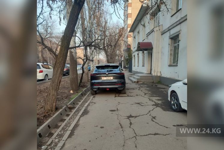 читателя 24.kg