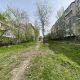 Фото PeshCom. В Бишкеке на улице Сыдыкова вырубили 46 деревьев