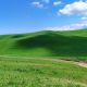 Фото Бакыта Шукуралиева. Изумрудные пейзажи Чуйской долины