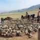 Фото НОЦ алтаистики и тюркологии «Большой Алтай»