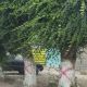 Фото 24.kg. В городе Балыкчи вырубают деревья