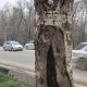 Фото пресс-службы мэрии Бишкека