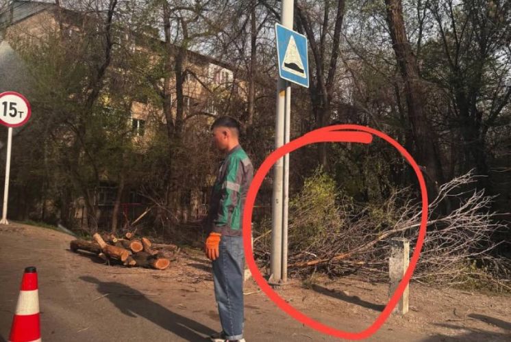 читателей