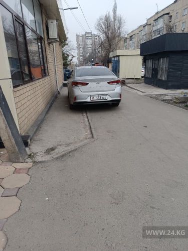 читателя 24.kg
