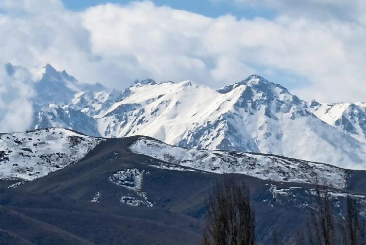 Василия Павлова