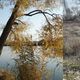 Фото предоставлено собеседником редакции. На фотографиях слева — прежний вид озер, справа — их нынешнее состояние