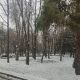 Фото Мээрим Акназаровой. Бишкек, сквер у «Белого дома», 1 марта 2026 года