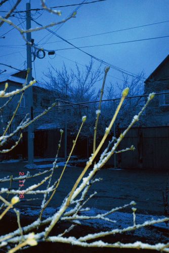 Амиры Айыповой