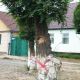 Фото 24.kg. В городе Балыкчи вырубают деревья