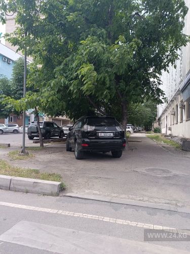 читателя 24.kg