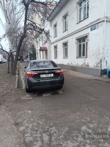 читателя 24.kg