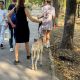 Фото читателя 24.kg