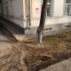 Фото 24.kg. Ели возле здания Верховного суда вырубили