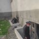 Фото пресс-службы ГУВД Чуйской области