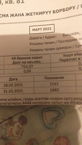 читательницы 24.kg