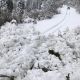 Фото МЧС. В Иссык-Кульской области сошли лавины
